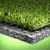 Artificial Turf vs Natural Turf