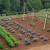 Organic Gardening for New Gardeners