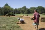 How to Install Sod in San Diego
