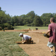 How to Install Sod in San Diego