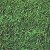 Tifgreen Hybrid Bermuda